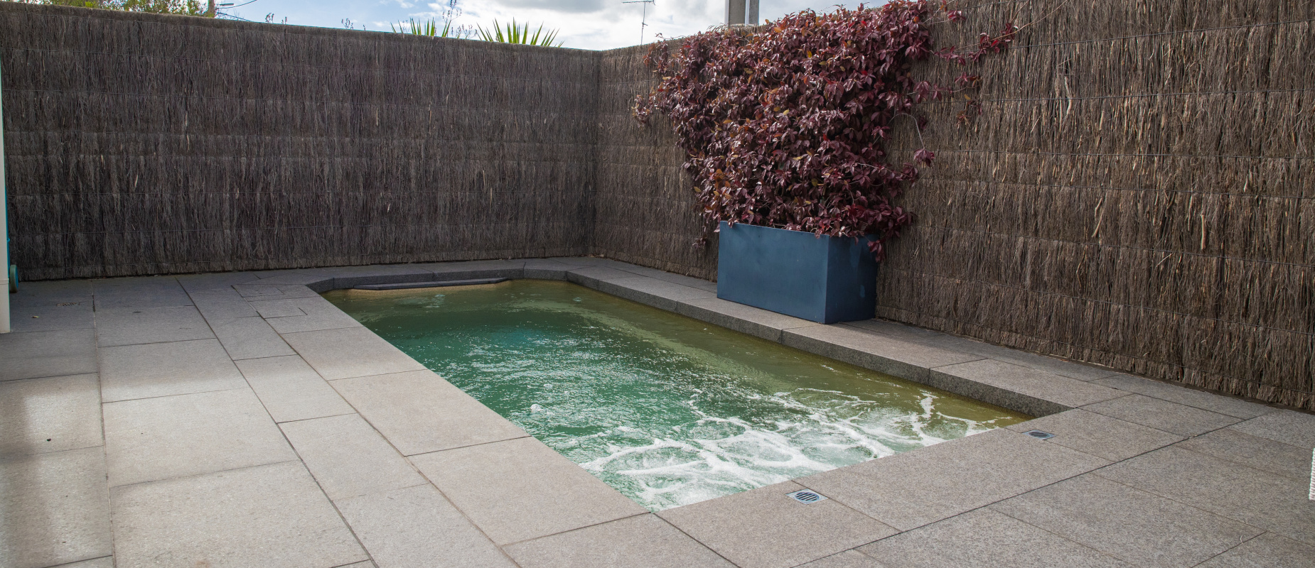 Plunge Pools Small Courtyard Swimming Pools Compass Pools